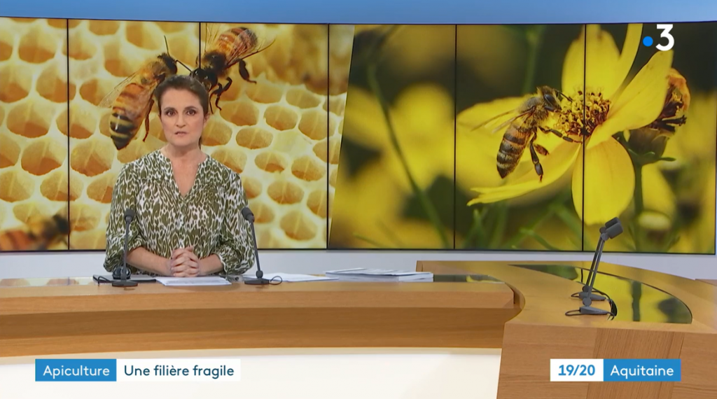 France 3 Nouvelle Aquitaine JT du 13.03.2023 Syndicat Apicole de la